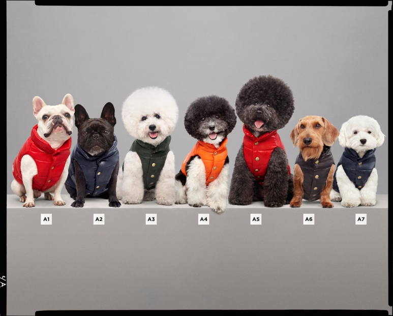 盟可睐MONCLER 携手POLDO DOG COUTURE推出爱宠系列3.jpg