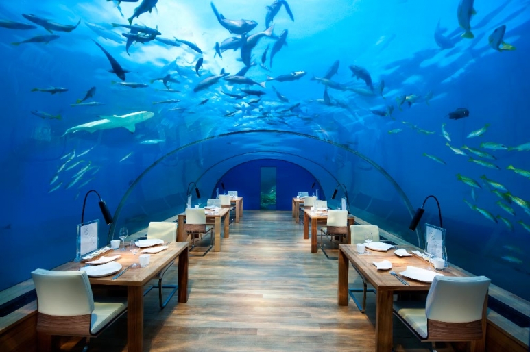 Conrad-Maldives-Ithaa-Undersea-Restaurant.jpg