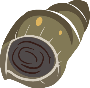 640-2.png